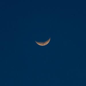 毛茸茸的中国女bbw
